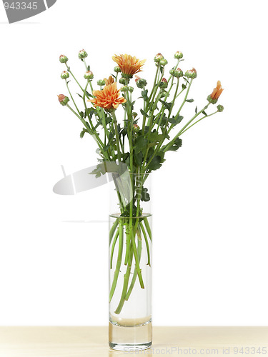Image of flower