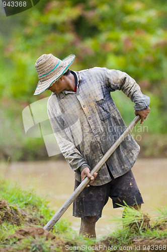 Image of asian farmer preparing the ground for the growth of rice