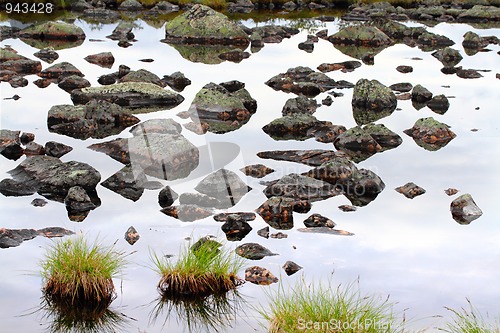 Image of reflective rocks and tuft of grass