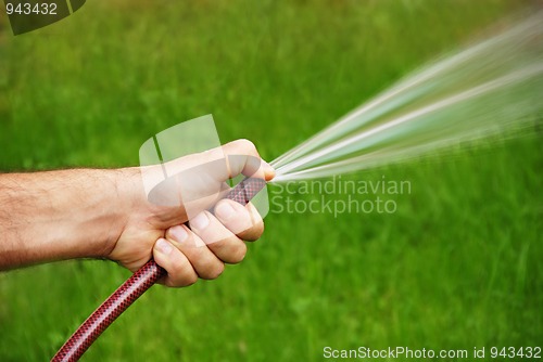 Image of Watering grass