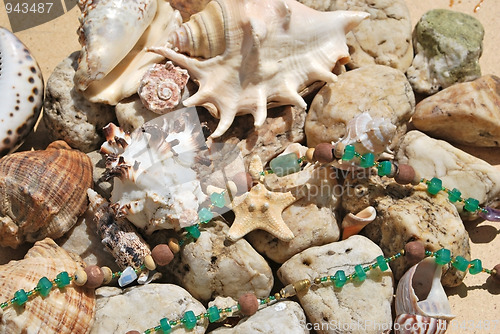 Image of few seashells