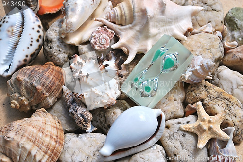 Image of few seashells