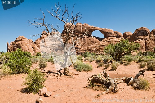 Image of Skyline Arch