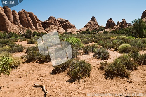 Image of Red rocks