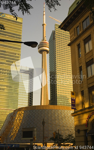 Image of CN Tower & Roy Thomson Hall