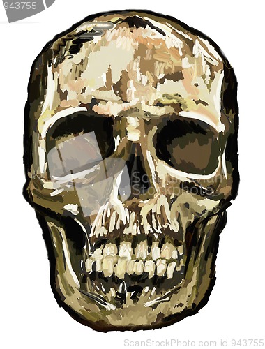 Image of skull