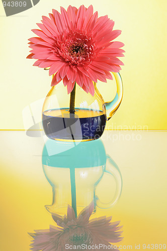 Image of gerbera