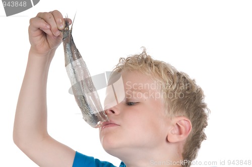 Image of Eating a herring the Dutch way