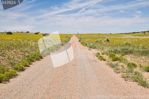 Image of Dirt road