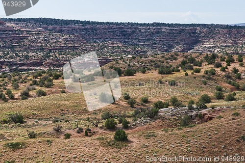 Image of Red rocks