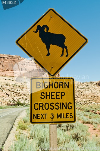 Image of Bighorn Sheep Crossing