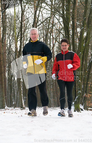 Image of Running In The Snow