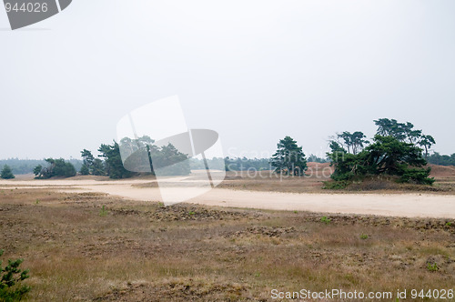 Image of Heathland