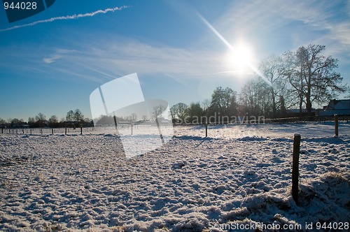 Image of Winter Scenic