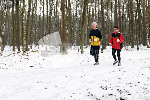 Image of Running In The Snow