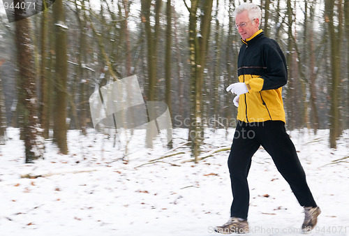 Image of Running In The Snow