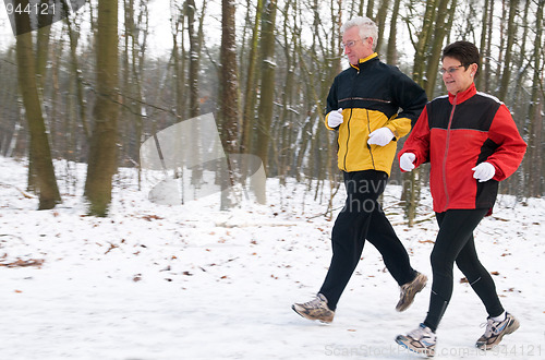 Image of Running In The Snow