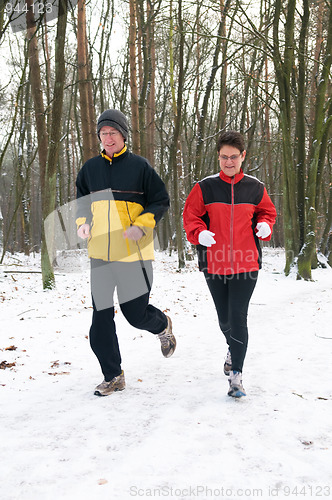 Image of Running In The Snow