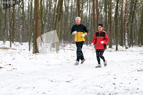 Image of Running In The Snow