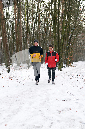 Image of Running In The Snow