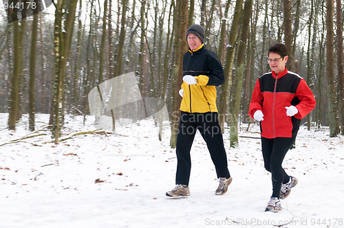 Image of Running In The Snow