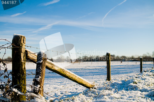 Image of Winter Scenic