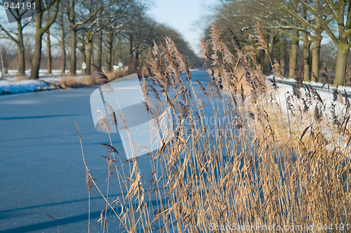 Image of Winter Scenic