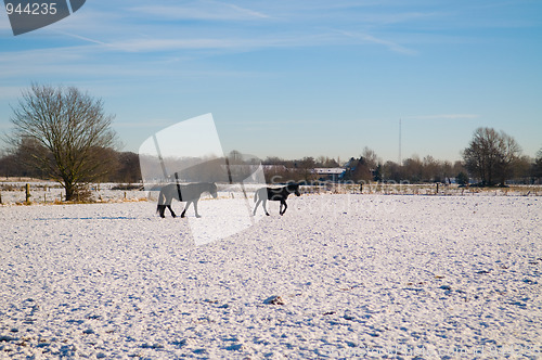 Image of Winter Scenic