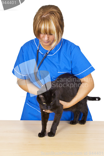 Image of Veterinary