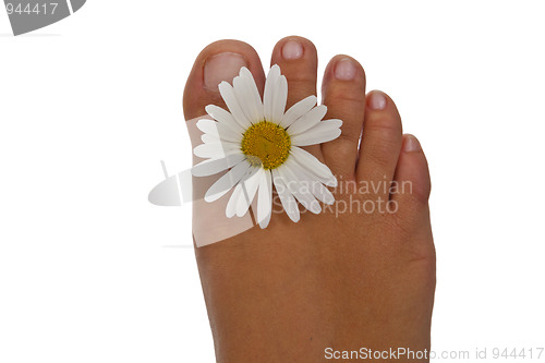 Image of Pedicure