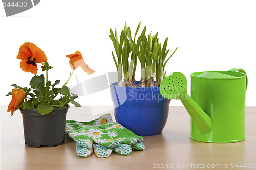 Image of Flowerpots