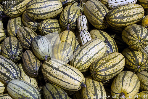 Image of Delicata squash