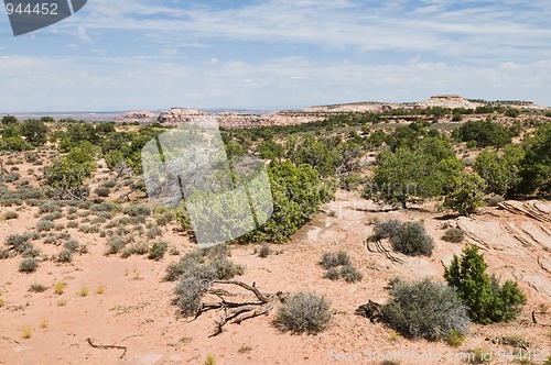 Image of Desert