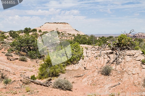 Image of Desert