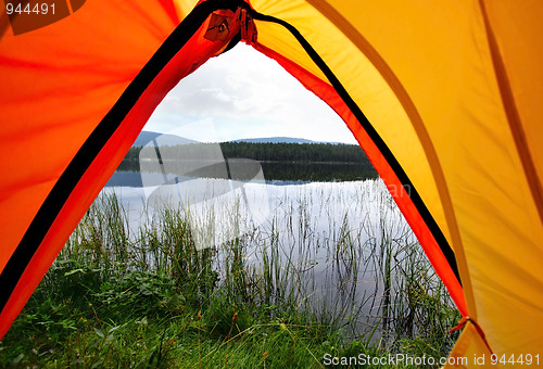 Image of Camping in the Forest 