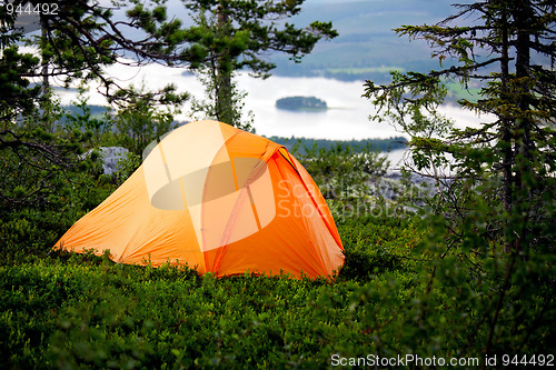 Image of Camping in the Forest 