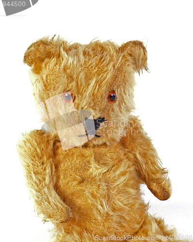 Image of Teddy bear