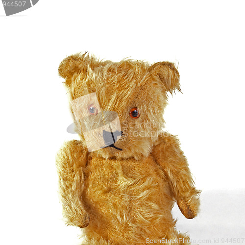 Image of Teddy bear.