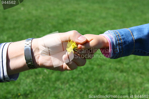 Image of Handshake