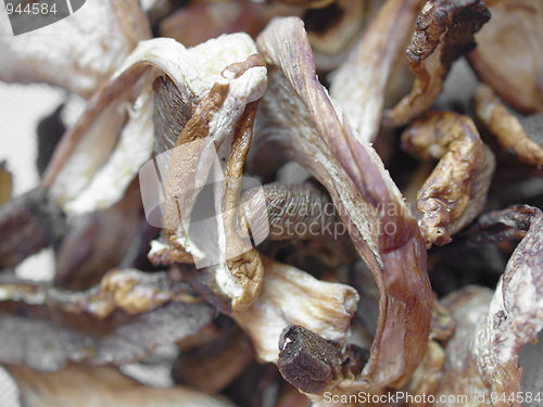 Image of Mushrooms