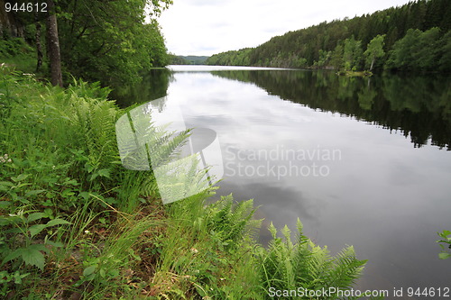 Image of Lake