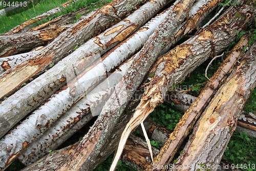 Image of Timber