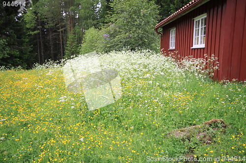 Image of Small house in the forest