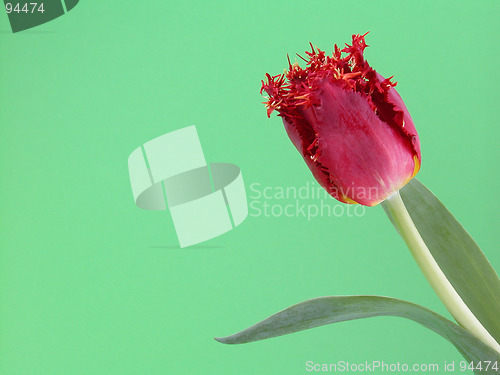 Image of spring time