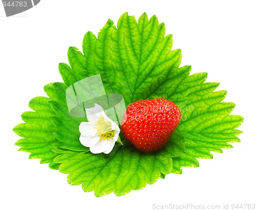 Image of Strawberry