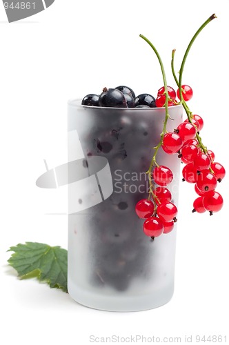 Image of Red and black currant