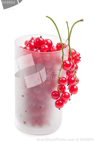 Image of Red currant