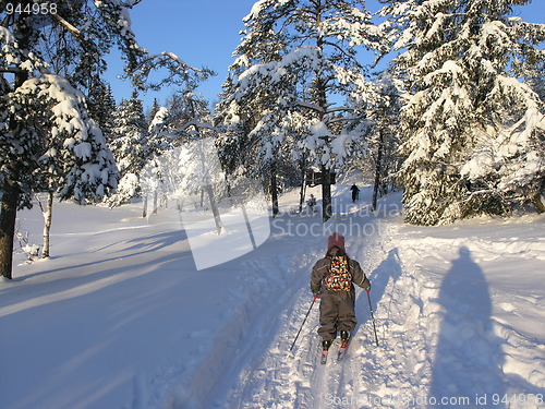 Image of skiing