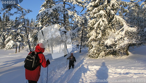 Image of skiing II