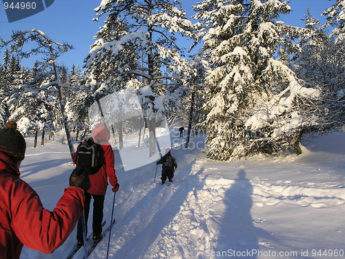 Image of skiiers III